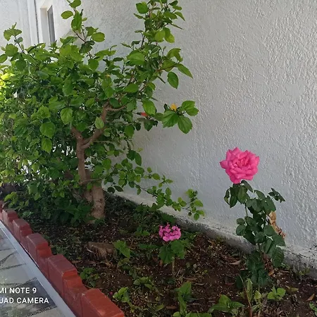 بيت ريفي Iasonas ماستيخاري