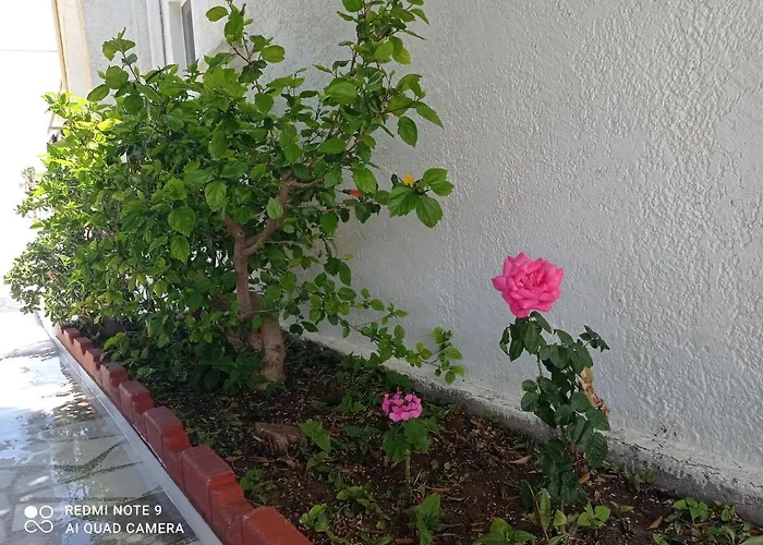 Mini-hôtel Iasonas Mastichari (Kos)