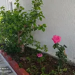 Kro Iasonas Mastichari (Kos)